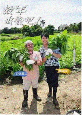 荣耀电视剧收视率破纪录